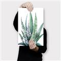 Picture of Zebra Succulent  _GroupedProduct_Rectangle_Portrait_Canvas_