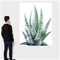 Picture of Zebra Succulent  _GroupedProduct_Rectangle_Portrait_Canvas_