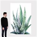 Picture of Zebra Succulent  _GroupedProduct_Rectangle_Portrait_Canvas_