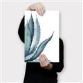 Picture of Succulent  _GroupedProduct_Rectangle_Portrait_Canvas_