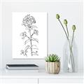 Picture of Single Hydrangea Drawing _GroupedProduct_Rectangle_Portrait_Canvas_