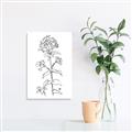 Picture of Single Hydrangea Drawing _GroupedProduct_Rectangle_Portrait_Canvas_
