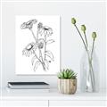 Picture of Daisy Drawing _GroupedProduct_Rectangle_Portrait_Canvas_
