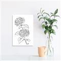 Picture of French Hydrangea Drawing _GroupedProduct_Rectangle_Portrait_Canvas_