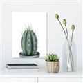 Picture of Cactus     _GroupedProduct_Rectangle_Portrait_Canvas_