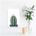 Picture of Cactus     _GroupedProduct_Rectangle_Portrait_Canvas_
