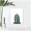 Picture of Cactus     _GroupedProduct_Rectangle_Portrait_Canvas_
