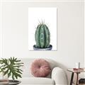 Picture of Cactus     _GroupedProduct_Rectangle_Portrait_Canvas_