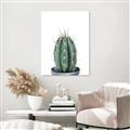 Picture of Cactus     _GroupedProduct_Rectangle_Portrait_Canvas_