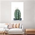 Picture of Cactus     _GroupedProduct_Rectangle_Portrait_Canvas_