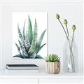 Picture of Zebra Succulent  _GroupedProduct_Rectangle_Portrait_Canvas_