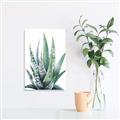 Picture of Zebra Succulent  _GroupedProduct_Rectangle_Portrait_Canvas_