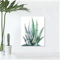 Picture of Zebra Succulent  _GroupedProduct_Rectangle_Portrait_Canvas_