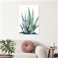 Picture of Zebra Succulent  _GroupedProduct_Rectangle_Portrait_Canvas_