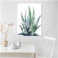 Picture of Zebra Succulent  _GroupedProduct_Rectangle_Portrait_Canvas_