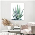 Picture of Zebra Succulent  _GroupedProduct_Rectangle_Portrait_Canvas_