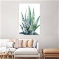 Picture of Zebra Succulent  _GroupedProduct_Rectangle_Portrait_Canvas_