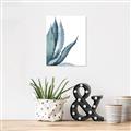 Picture of Succulent  _GroupedProduct_Rectangle_Portrait_Canvas_