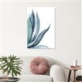 Picture of Succulent  _GroupedProduct_Rectangle_Portrait_Canvas_