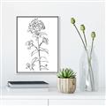 Picture of Single Hydrangea Drawing _GroupedProduct_Rectangle_Portrait_Canvas_Framed_