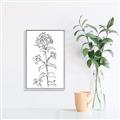 Picture of Single Hydrangea Drawing _GroupedProduct_Rectangle_Portrait_Canvas_Framed_