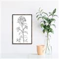 Picture of Single Hydrangea Drawing _GroupedProduct_Rectangle_Portrait_Canvas_Framed_