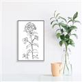 Picture of Single Hydrangea Drawing _GroupedProduct_Rectangle_Portrait_Canvas_Framed_