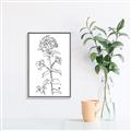 Picture of Single Hydrangea Drawing _GroupedProduct_Rectangle_Portrait_Canvas_Framed_