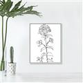 Picture of Single Hydrangea Drawing _GroupedProduct_Rectangle_Portrait_Canvas_Framed_