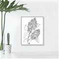 Picture of Panicle Hydrangea Drawing _GroupedProduct_Rectangle_Portrait_Canvas_Framed_