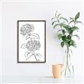 Picture of French Hydrangea Drawing _GroupedProduct_Rectangle_Portrait_Canvas_Framed_