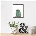 Picture of Cactus     _GroupedProduct_Rectangle_Portrait_Canvas_Framed_