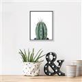 Picture of Cactus     _GroupedProduct_Rectangle_Portrait_Canvas_Framed_