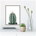 Picture of Cactus     _GroupedProduct_Rectangle_Portrait_Canvas_Framed_