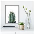 Picture of Cactus     _GroupedProduct_Rectangle_Portrait_Canvas_Framed_