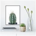 Picture of Cactus     _GroupedProduct_Rectangle_Portrait_Canvas_Framed_
