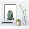 Picture of Cactus     _GroupedProduct_Rectangle_Portrait_Canvas_Framed_