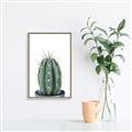 Picture of Cactus     _GroupedProduct_Rectangle_Portrait_Canvas_Framed_