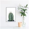 Picture of Cactus     _GroupedProduct_Rectangle_Portrait_Canvas_Framed_