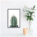 Picture of Cactus     _GroupedProduct_Rectangle_Portrait_Canvas_Framed_