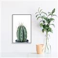 Picture of Cactus     _GroupedProduct_Rectangle_Portrait_Canvas_Framed_