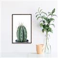 Picture of Cactus     _GroupedProduct_Rectangle_Portrait_Canvas_Framed_