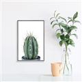Picture of Cactus     _GroupedProduct_Rectangle_Portrait_Canvas_Framed_