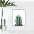 Picture of Cactus     _GroupedProduct_Rectangle_Portrait_Canvas_Framed_