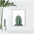 Picture of Cactus     _GroupedProduct_Rectangle_Portrait_Canvas_Framed_