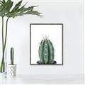 Picture of Cactus     _GroupedProduct_Rectangle_Portrait_Canvas_Framed_