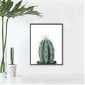 Picture of Cactus     _GroupedProduct_Rectangle_Portrait_Canvas_Framed_