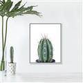 Picture of Cactus     _GroupedProduct_Rectangle_Portrait_Canvas_Framed_