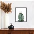 Picture of Cactus     _GroupedProduct_Rectangle_Portrait_Canvas_Framed_