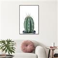Picture of Cactus     _GroupedProduct_Rectangle_Portrait_Canvas_Framed_
